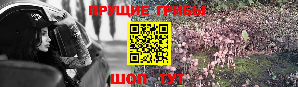 Галлюциногенные грибы ЛСД  купить наркоту  Узловая  Вход с VPN 