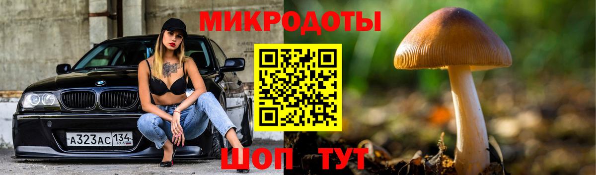 Псилоцибиновые грибы мухоморы Узловая